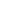 The Walt Disney Company - w
